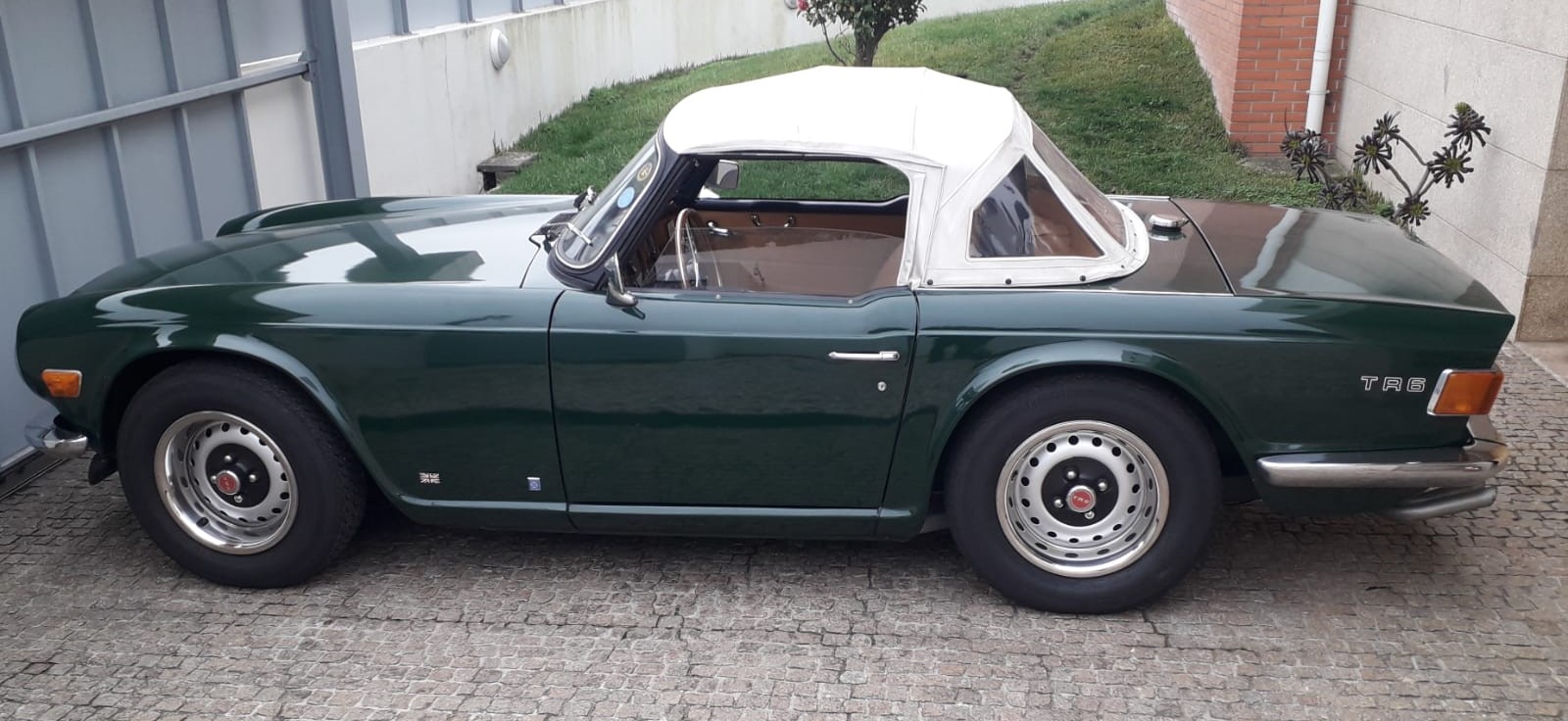 Triumph
