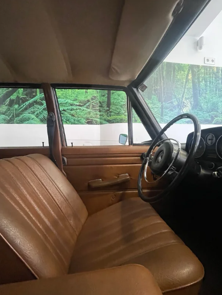 Mercedes Benz MB 220 1972